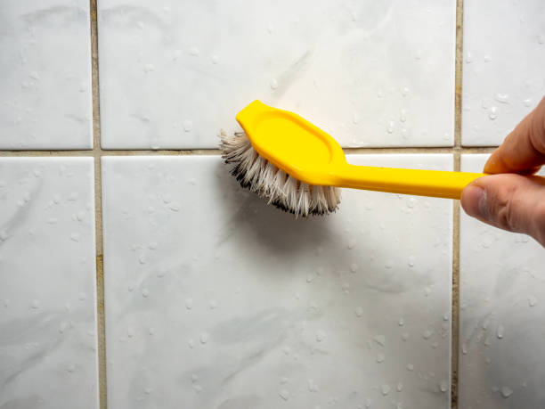 Best Mold Remediation  in Eastlake, OH
