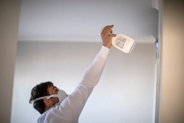 Best Toxic Mold Removal  in Eastlake, OH