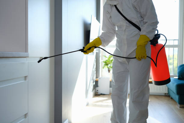 Best Crawl Space Mold Removal  in Eastlake, OH