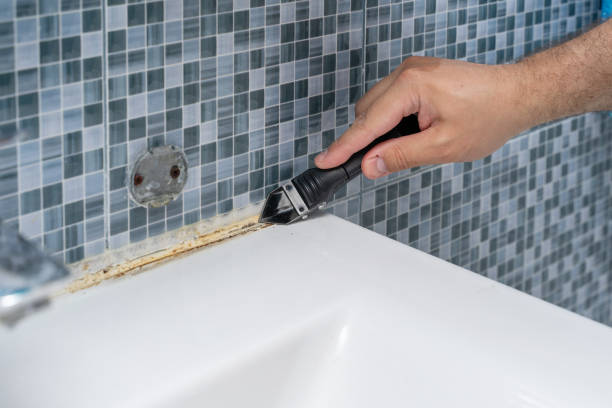 Best Emergency Mold Removal  in Eastlake, OH